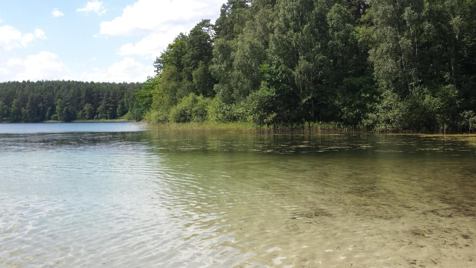 Ferienhaus Letniskowe Bory Tucholskie - Klimatyzacja Wifi Sauna Jacuzzi *